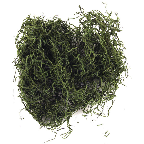 Mousse de jungle  vert  20 g