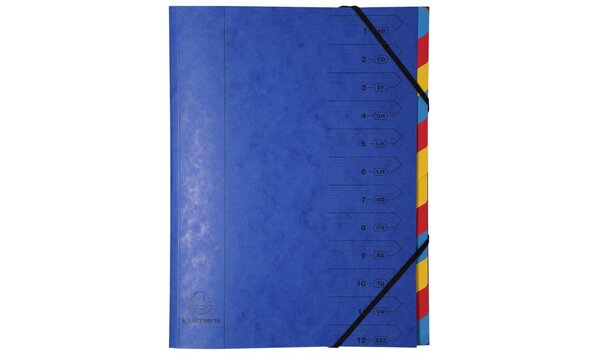 Trieur agrafé avec élastiques 12 compartiments - Couleurs Aléatoires EXACOMPTA