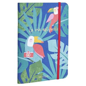 Carnet A5 Toucans - Draeger paris