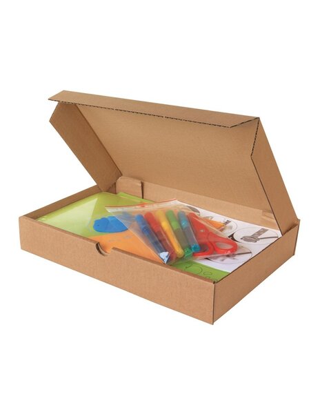 (lot 50 boîtes) boîte extra-plate 290 x 290 x 50mm