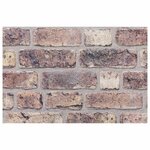 vidaXL Panneaux muraux 3D 10 Pièces marron foncé 100x50 cm EPS