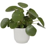 Pot de fleurs Rond VIBES - Plastique - Ø 25 x 23 cm - Blanc/Blanc soie