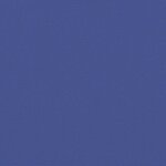 vidaXL Auvent latéral rétractable Bleu 117x1200 cm