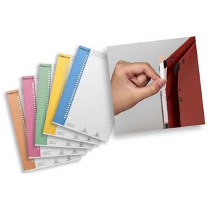 Étiquettes 6mmx296mm pour dossiers suspendus Nr. 9 couleurs assorties L'OBLIQUE AZ