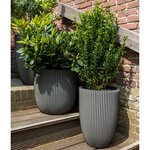 Capi Vase élégant Groove 34x46 cm anthracite