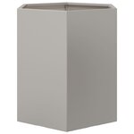 vidaXL Jardinières 2 Pièces hexagone 46x40x45 cm acier inoxydable
