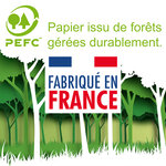 Carte Félicitations Bravo Tu gères avec Enveloppe  Mini Posters Format 17x11 5cm  Surfeuse Vague Succès Réussite Permis Examen Concours Compétition Mer Océan Rétro Vintage Bleu