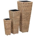 vidaXL Lits surélevés 3 Pièces Jacinthe d'eau Marron