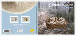 Collector 4 timbres - Champignons d'hiver - Lettre Verte