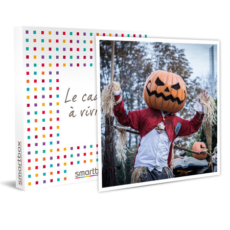 SMARTBOX - Coffret Cadeau - Journée à Europa-Park pour 1 enfant en haute saison -