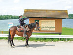 SMARTBOX - Coffret Cadeau Journée de balade  randonnée à cheval ou cours d'équitation -  Sport & Aventure