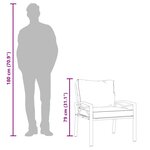 vidaXL Chaises de jardin avec coussins gris lot de 2 68x76x79 cm acier
