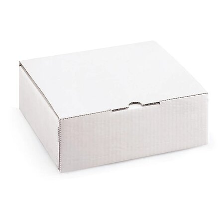 Boîte postale carton blanche avec calage mousse raja 18x12x5 cm (lot de 50)