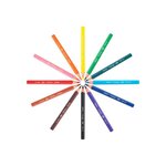 Etui carton de 12 crayons de couleur ECO KIDS EVOLUTION TRIANGLE 12 Couleurs BIC