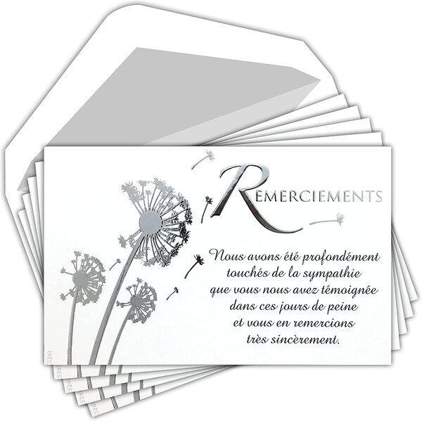 Lot 5 cartes remerciements condoléances argenté +5 enveloppes blanches 9x14cm