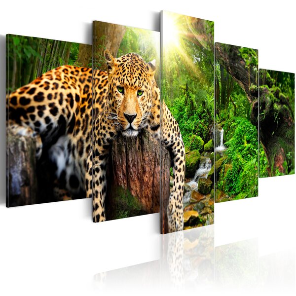 Tableau - predator's relaxation l x h en cm 100x50