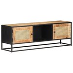 vidaXL Meuble TV 120x30x40 cm Bois de manguier brut et canne naturelle