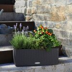 LECHUZA Jardinière BALCONERA Cottage 50 ALL-IN-ONE Granite