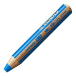 Etui de 10 crayons Woody 30 ans + 1 taille-crayon