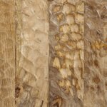 vidaXL Table de chevet 50x33x60 cm bois de manguier massif