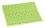 PAPERTREE LEILA Lot de 5 Enveloppes A5 - Anis