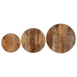 vidaXL Tables basses gigognes 3 Pièces bois massif de manguier et fer