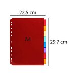 Intercalaires Pp Transparent Couleurs Avec Porte Étiquette A4 8 Positions - Couleurs Assorties - X 10 - Exacompta