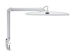 Lampe LED MAULwork Intensité réglable Blanc MAUL