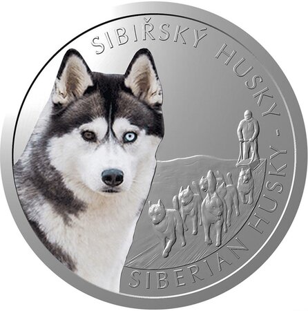 Pièce de monnaie en argent 1 dollar g 31.1 (1 oz) millésime 2023 dog breeds siberian husky