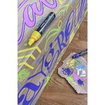 Etui carton 5 marqueurs pointe large FREE acrylic T800C Set 2 'Bold' x 5 STABILO