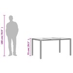 vidaXL Table de jardin dessus en verre Noir 150x90x75cm Résine tressée
