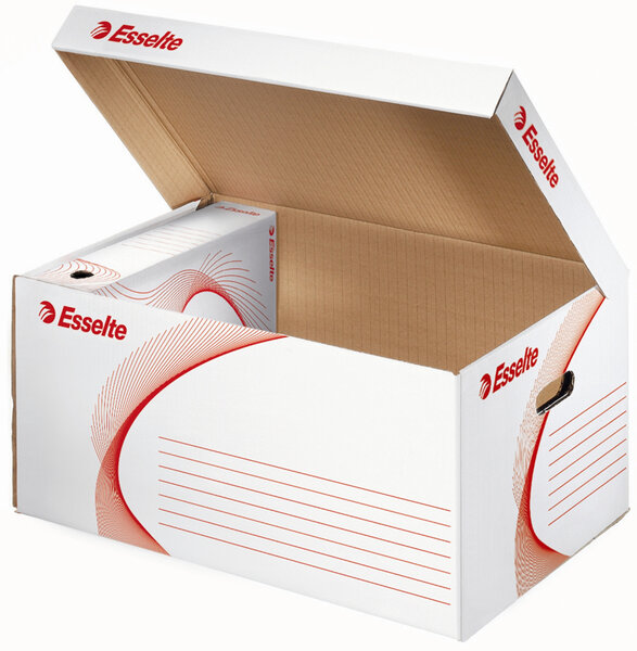 Lot de 10 containers d'archivage, ondulé, blanc