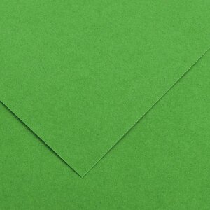 Paquet de 10 feuilles de papier Colorline CANSON 50 x 65 cm 150 g vert franc