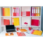 Classeur A4 4 Anneaux 30mm Iderama - Rose - X 10 - Exacompta