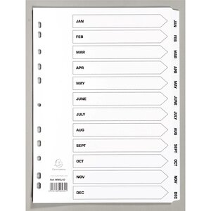 Intercalaires Imprimés À Touches Plastifiées - 12 Touches January/december - Mylar - Blanc - X 10 - Exacompta