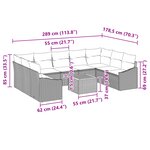 vidaXL Ensemble de canapés de jardin 10 pièces avec coussins Gris Poly Rattan Acacia