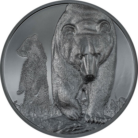 Pièce de monnaie en Argent 1000 Togrog g 62.2 (2 oz) Millésime 2023 Growing Up BROWN BEAR