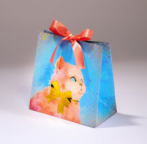 Enveloppe emballage carte bon cadeau - Bleue claire - CZ-P1562-01