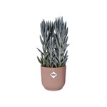 Vibes Fold Pot de fleurs rond Roues 35 - Rose Ø 35 x 32 cm