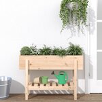vidaXL Lit surélevé de jardin 101x30x69 cm bois de pin massif