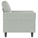 vidaXL Fauteuil Gris clair 60 cm Velours
