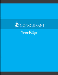 Cahier TP Piqué 17X 2cm Seyès + uni 96 pages 70g coloris aléatoires x 10 CONQUÉRANT