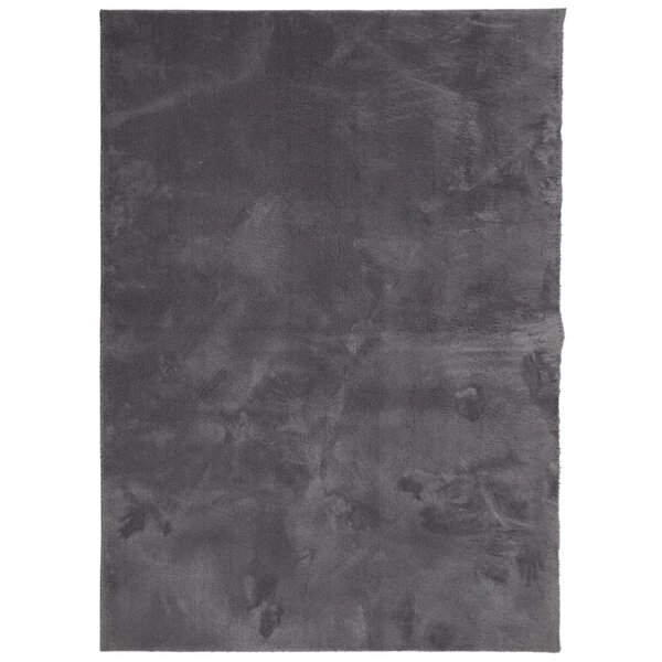vidaXL Tapis HUARTE à poils courts doux lavable anthracite 240x340 cm