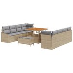 Ensemble de canapé de jardin 11 pièces avec coussins Beige Rotin synthétique Acacia