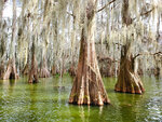 SMARTBOX - Coffret Cadeau City trip en Louisiane : 8 jours en hôtels 3* avec visites des lieux incontournables -  Séjour
