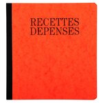 Piqûre 21x19cm Recettes-dépenses 80 Pages - Couleurs Assorties - X 5 - Exacompta