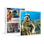 SMARTBOX - Coffret Cadeau Plongée en Corse : sortie en snorkeling d’1h et baptême de 30 min à Calvi -  Sport & Aventure