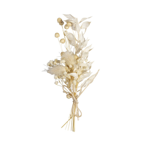 Bouquet de fleurs séchées - ivoire