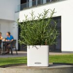 Lechuza jardinière de table cube color 14 all-in-one blanc