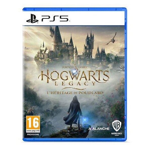 Jeu PS5 Hogwarts Legacy L Heritage de Poudlard